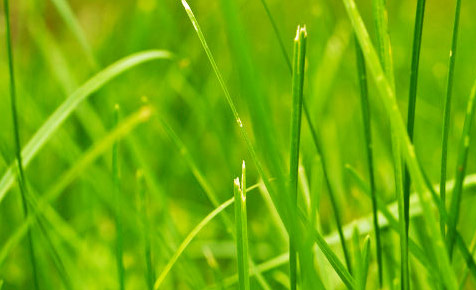 无卡顿不闪退的服务器攻击软件